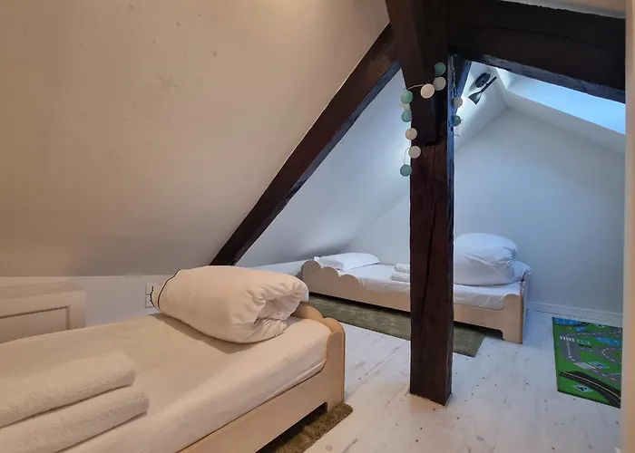 Apartment Le Bois Bleu 3rd Floor Elegance & Comfort In The Heart Of *